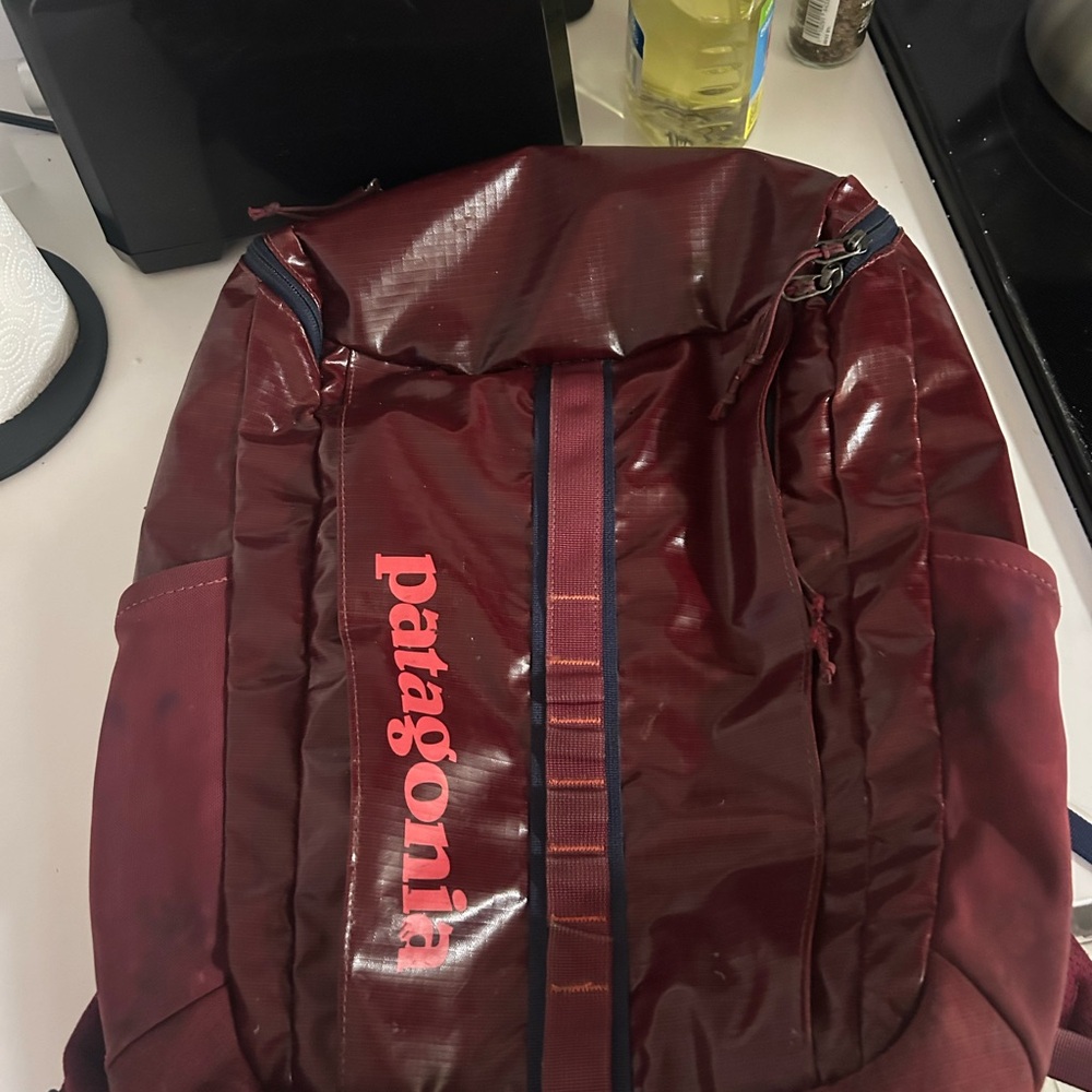 Patagonia Burgundy Backpack for Men